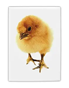 TooLoud Fluffy Chick Fridge Magnet 2"x3" Portrait