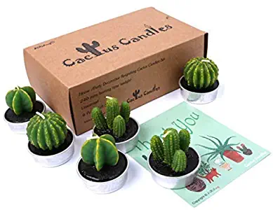 AIXIANG Handmade Delicate Tealight Cactus Candles for Home Decorative, 6 Pcs in Gift Box