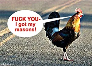 Fuck you - I got my reasons! (chicken crossing road)