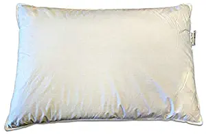 Pillowtex Kyoto Pillow - Half Buckwheat and Half Polyester Pillow - Japanese Style Pillow (Queen (20 Inches x 30 Inches))