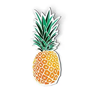 AK Wall Art Pineapple - Magnet - Car Fridge Locker - Select Size