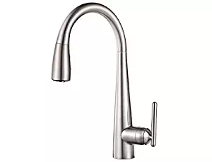 Pfister GT529-FLS Lita Xtract All-In-One Pull Down Kitchen Faucet with Integrated Water Filter, Stainless Steel