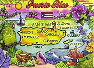 Puerto Rico Caribbean Fridge Collector's Souvenir Magnet 2.5" X 3.5"