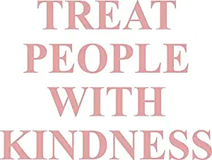 MAGNET Treat People with Kindness Pink Magnetic Car Sticker Decal Refrigerator Metal Magnet Vinyl 5"