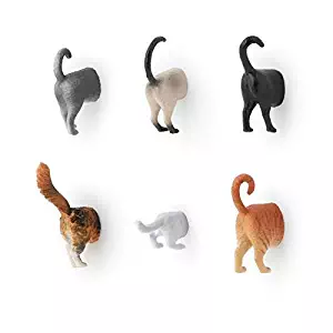 Hoovy Cat Butt Refrigerator Picture Magnets: 6 Cute & Funny Decorative Kitten Photo Magnets for Fridge| Cat Lover Gift Set