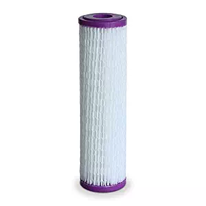 Whole House Replacement Post Filter