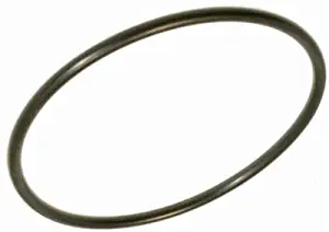 Pool Pumps Sta-Rite Dura-Glas Lid/Cover O-Ring O-218 Replacement Part U9-229