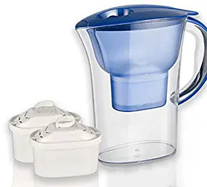 GZSHIQING Water Filter Pitcher, 8 Cup Large Purifier,2 Filters Included,Removes Harmful Contaminants Chlorine Metals and Sediments for Clean Tasting Water (2.5L)