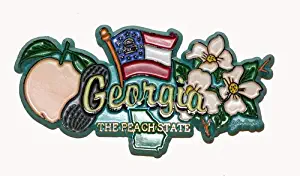 Georgia State Elements Fridge Collectible Souvenir Magnet