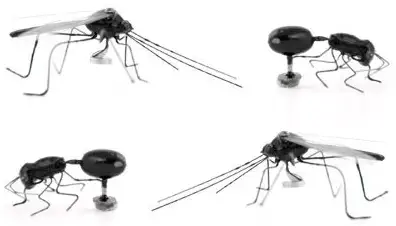 Kikkerland Insect Magnets, Set of 4 (MG35)