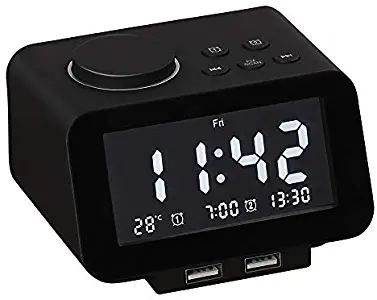 Viktle Alarm Clock Radio - FM Radio, Dual USB Port for Charging, Temperature Display, Dual Alarms, 5 Level Brightness Dimmer, Adjustable Alarm Volume, Sleep Timer for Bedrooms