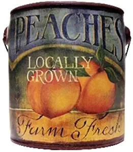 A Cheerful Giver 20 Oz Juicy Peach Fresh Farm Candle